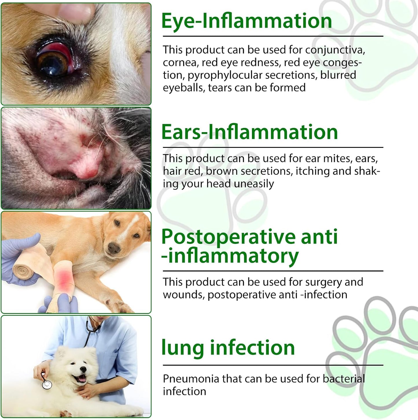 Dog Antibiotics - Natural Antibiotics for Dogs - Dog Multivitamin Herbal Supplements (60ml) - görsel 8