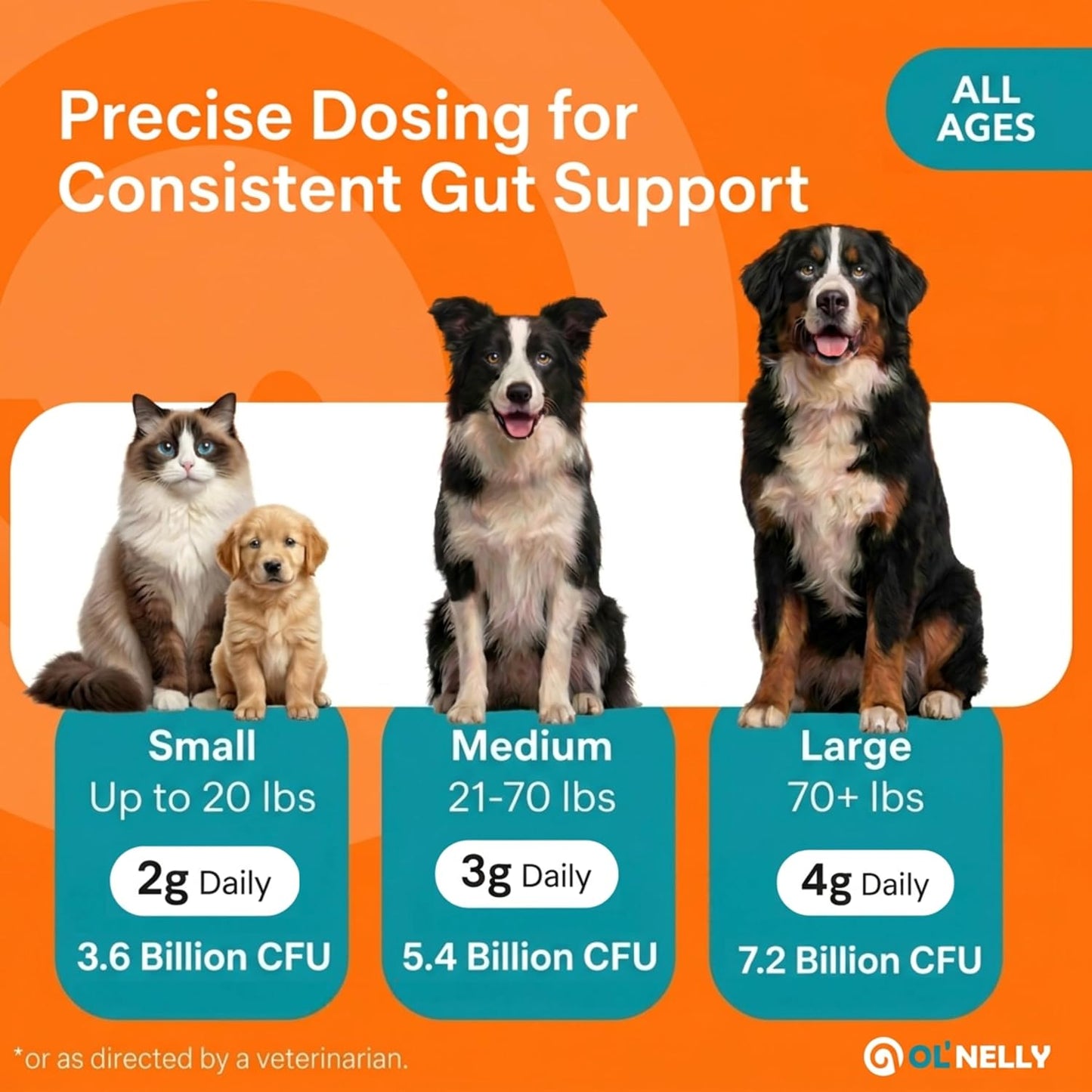 OL’ NELLY Dog Probiotic Paste for Dogs and Cats, 7.2 Billion CFU, Supports Digestive Health with 6-Strain Probiotics + Prebiotic, 14g - görsel 8