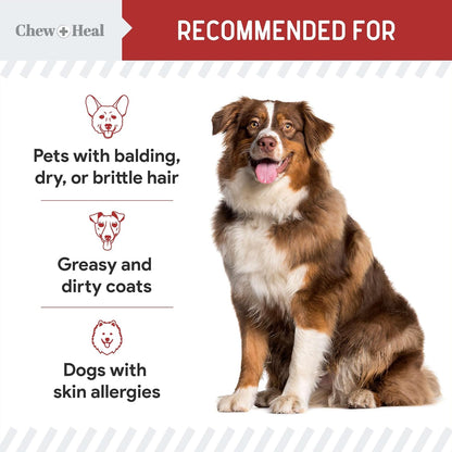 Best Itchy Skin Relief for Dogs - 360 Soft Chew Omega Chews for Skin and Coat - Salmon Oil Blend of Fatty Acids, Omega-3, 6, Vitamins, Antioxidants - Made in the USA (2 Packs of 180, Bacon Flavour)
