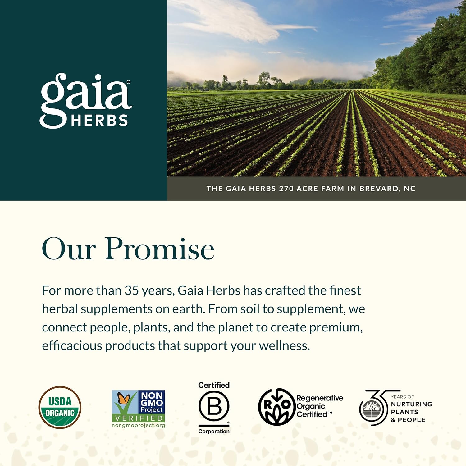 Gaia Herbs Fertility Support - Hormonal Balance Supplement with Chaste Tree (Vitex) - 60 Vegan Liquid Phyto-Caps - görsel 7