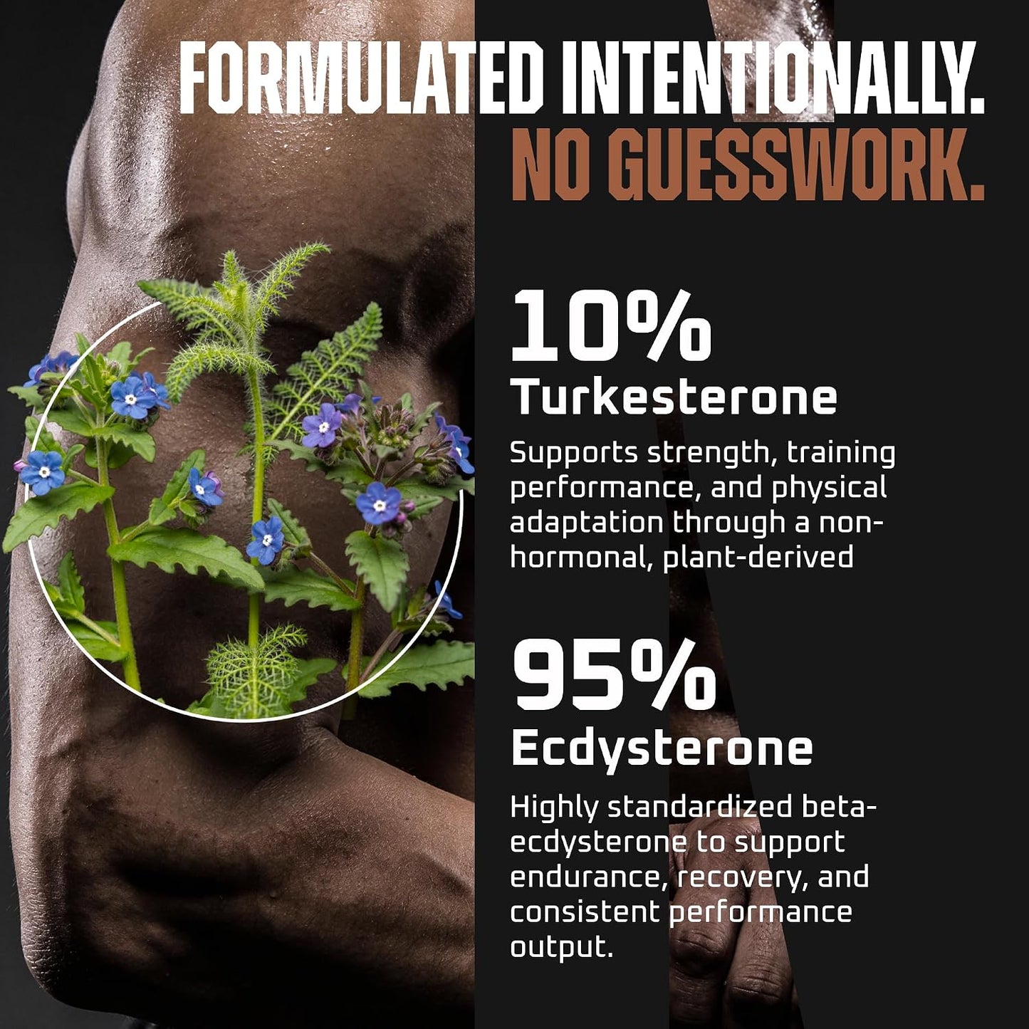 Turkesterone & Ecdysterone – Natural Testosterone Support Supplement, 2-in-1 High Potency, 180 Capsules - görsel 3