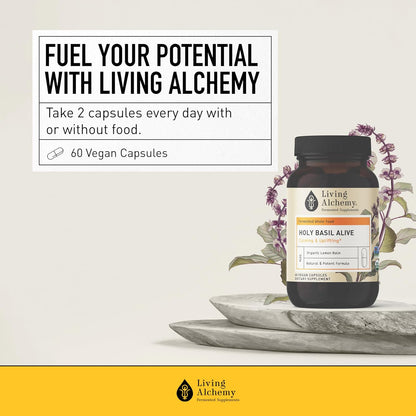 Living Alchemy Fermented Holy Basil with Lemon Balm - Vegan, Non-GMO - 60 Capsules