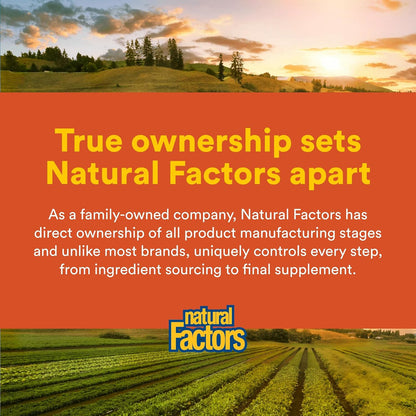 Natural Factors Hi Potency B Complex - 90 Capsules - Energy Support & Nervous System Health