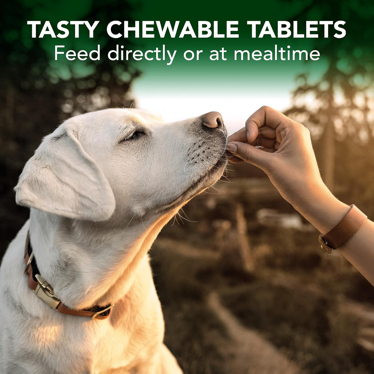 Vet's Best Dog Allergy Chews, Seasonal Allergy Chews for Dogs, 60 Chewable Tablets - görsel 4