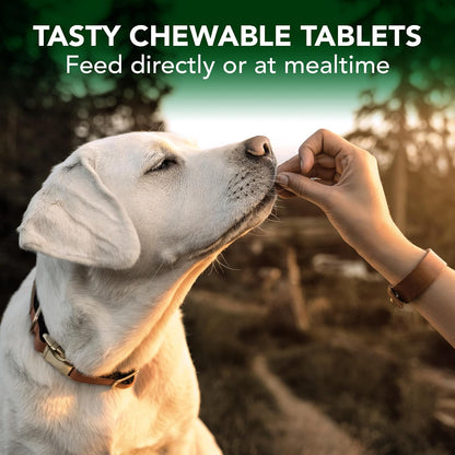 Vet's Best Dog Allergy Chews, Seasonal Allergy Chews for Dogs, 60 Chewable Tablets