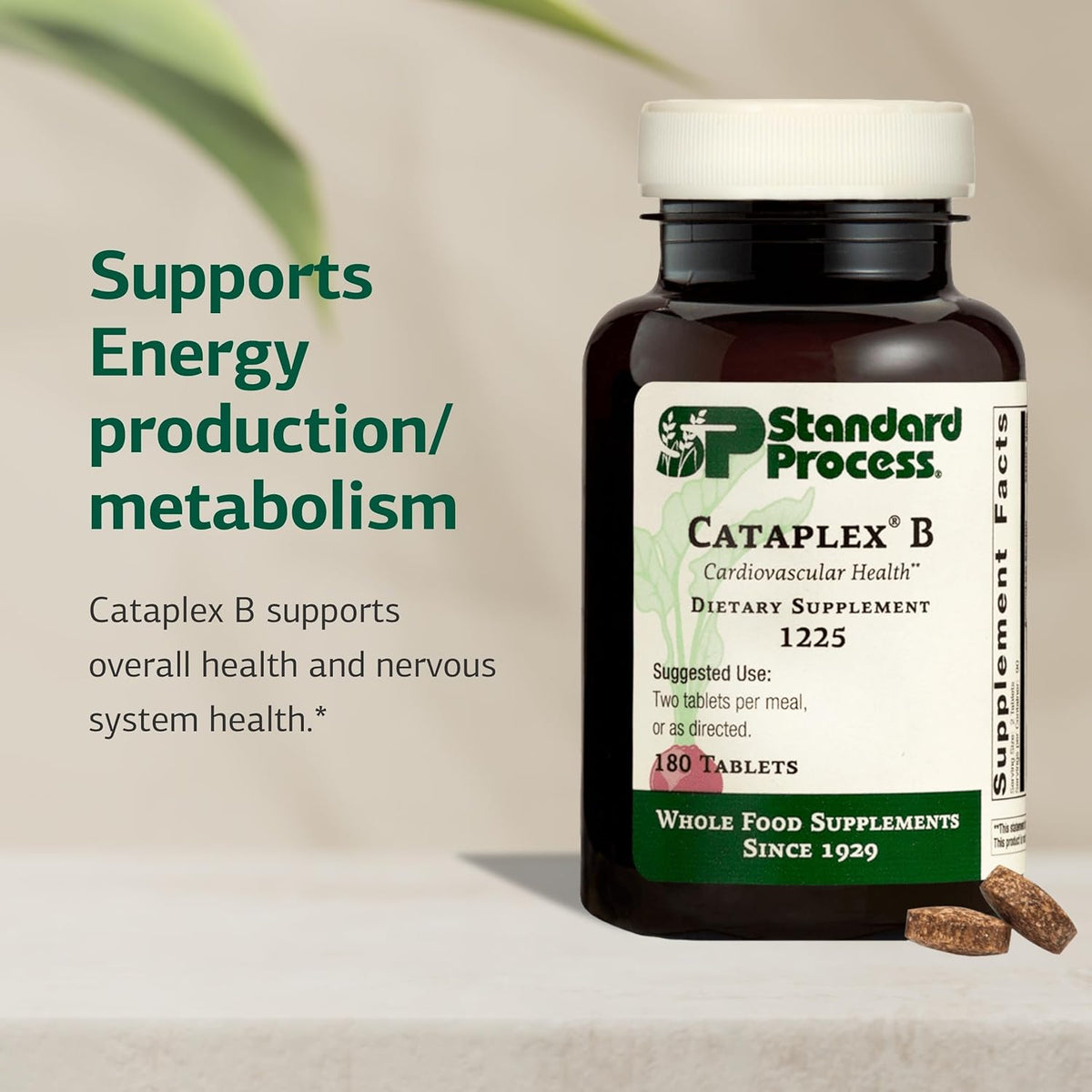 Standard Process Cataplex B - Nervous System & Heart Health Supplement - 180 Tablets - görsel 3
