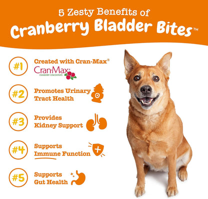 Zesty Paws Cranberry Supplement for Dogs - Urinary Tract Support Chews with D-Mannose - 90 Count