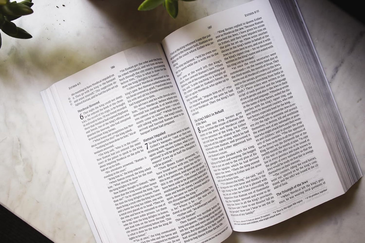 NIV, Celebrate Recovery Study Bible (35th Anniversary Edition), Paperback, Comfort Print - görsel 4