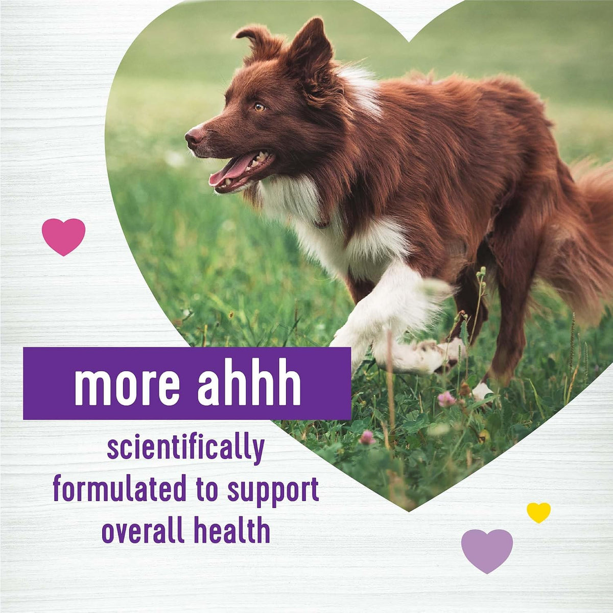 Wellness Peanut Butter & Apple Flavour Soft Chews Multi-Benefit Supplements for Dogs, 45 Chews - görsel 2