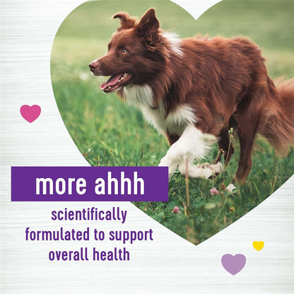 Wellness Peanut Butter & Apple Flavour Soft Chews Multi-Benefit Supplements for Dogs, 45 Chews