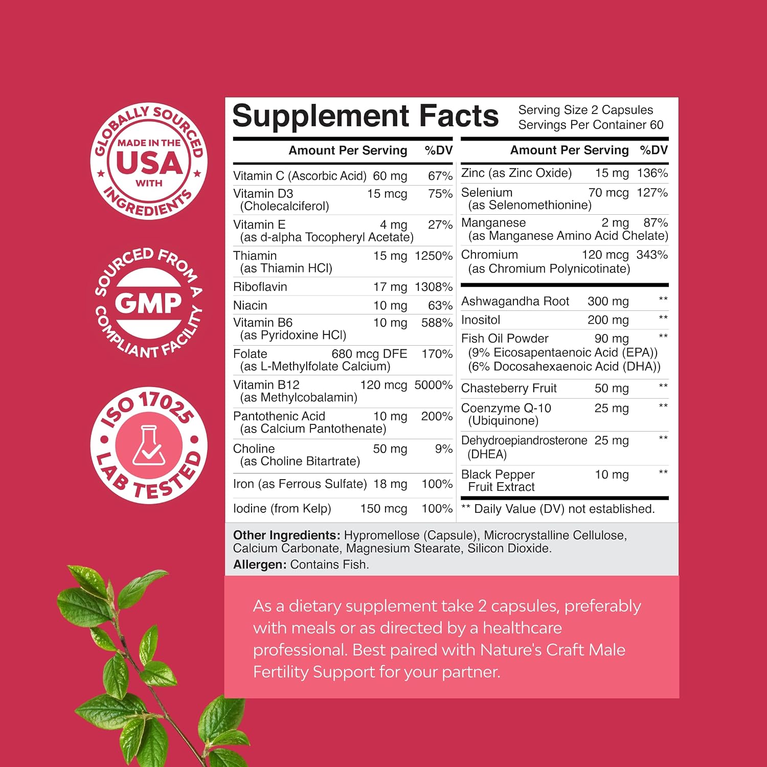 Female Fertility Supplement with Prenatal Multivitamins - Fertility Support with Choline, Inositol, Folate, Chasteberry, and CoQ10 - 120 Capsules - görsel 3