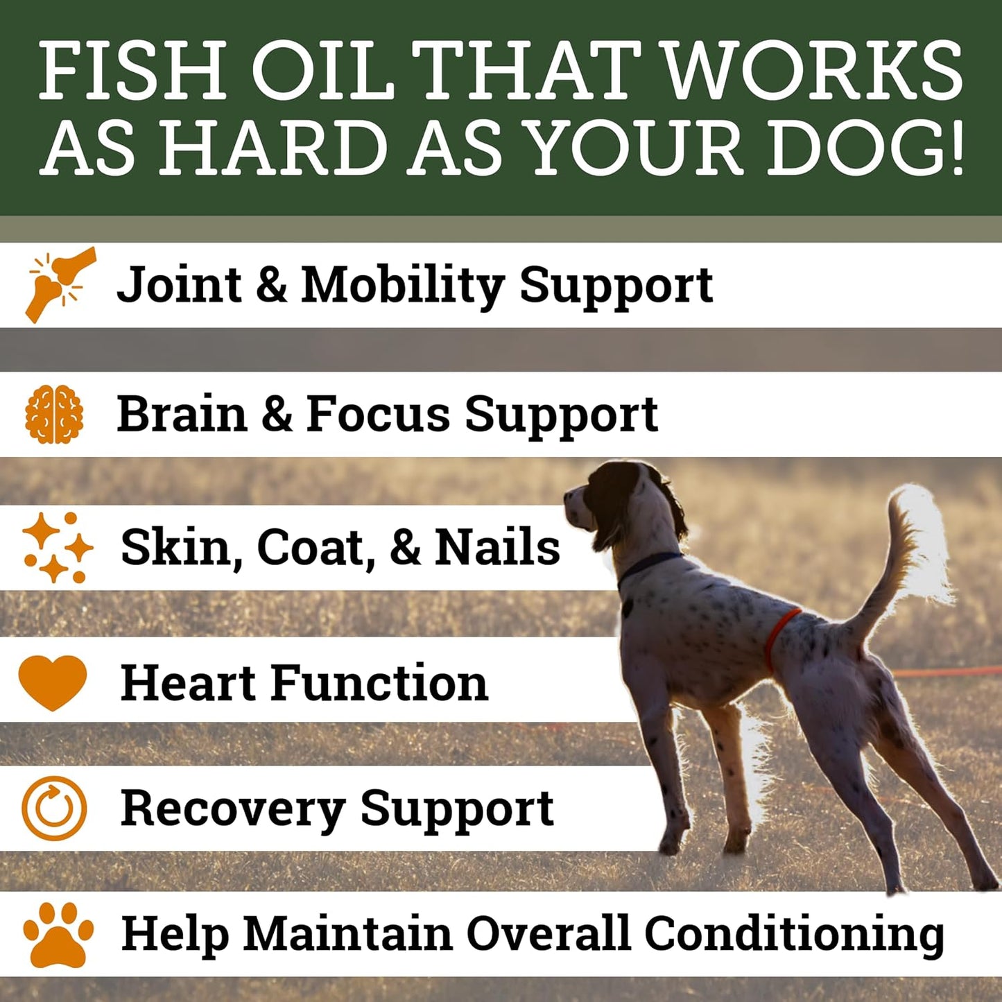 DogBone Omega 3 Fish Oil for Dogs - Wild-Caught Salmon & Pollock, EPA + DHA for Joint, Skin, Heart & Recovery - 946ml Pump - görsel 2