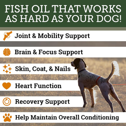 DogBone Omega 3 Fish Oil for Dogs - Wild-Caught Salmon & Pollock, EPA + DHA for Joint, Skin, Heart & Recovery - 946ml Pump