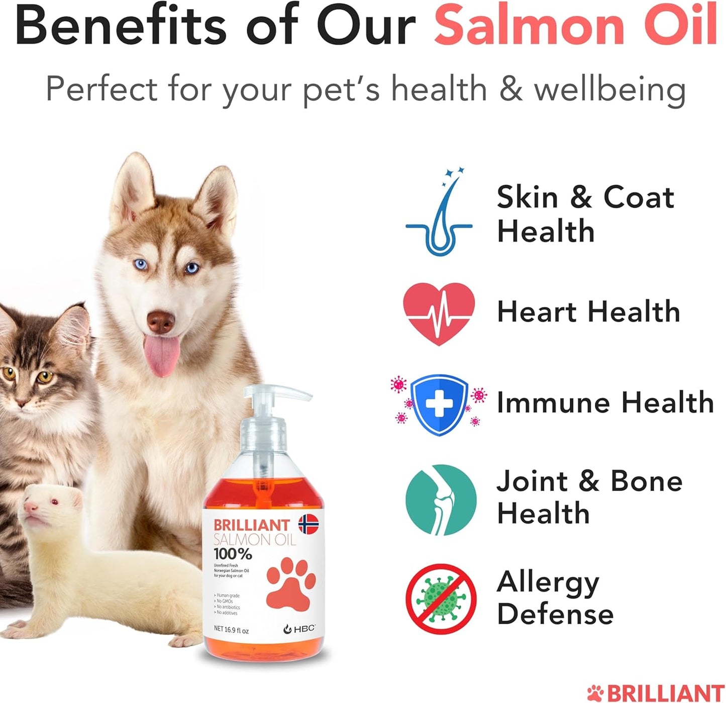 Brilliant Norwegian Salmon Oil for Dogs, Cats, Horses & Ferrets - Pure Omega 3, 6 & 9 Fish Oil Food Supplement for Natural Coat, Immune Support, Itchy Skin, Joint & Brain Health - 2x500 ml - görsel 2