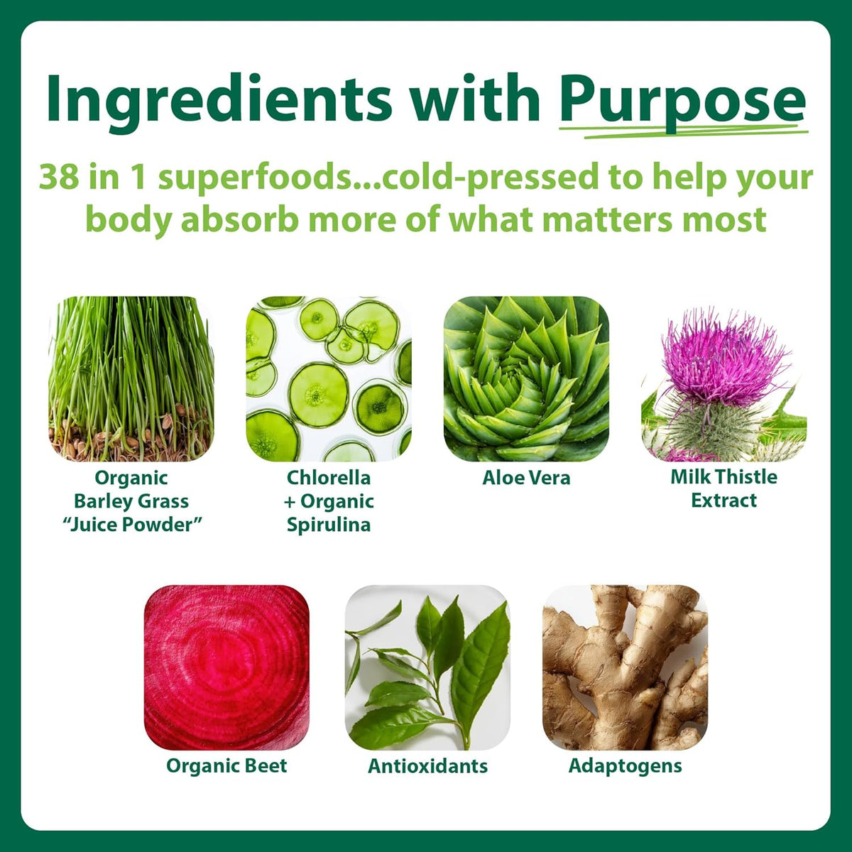 Macro Greens Superfood Powder – 38 Superfoods with Probiotics, Digestive Enzymes & Adaptogens - görsel 2