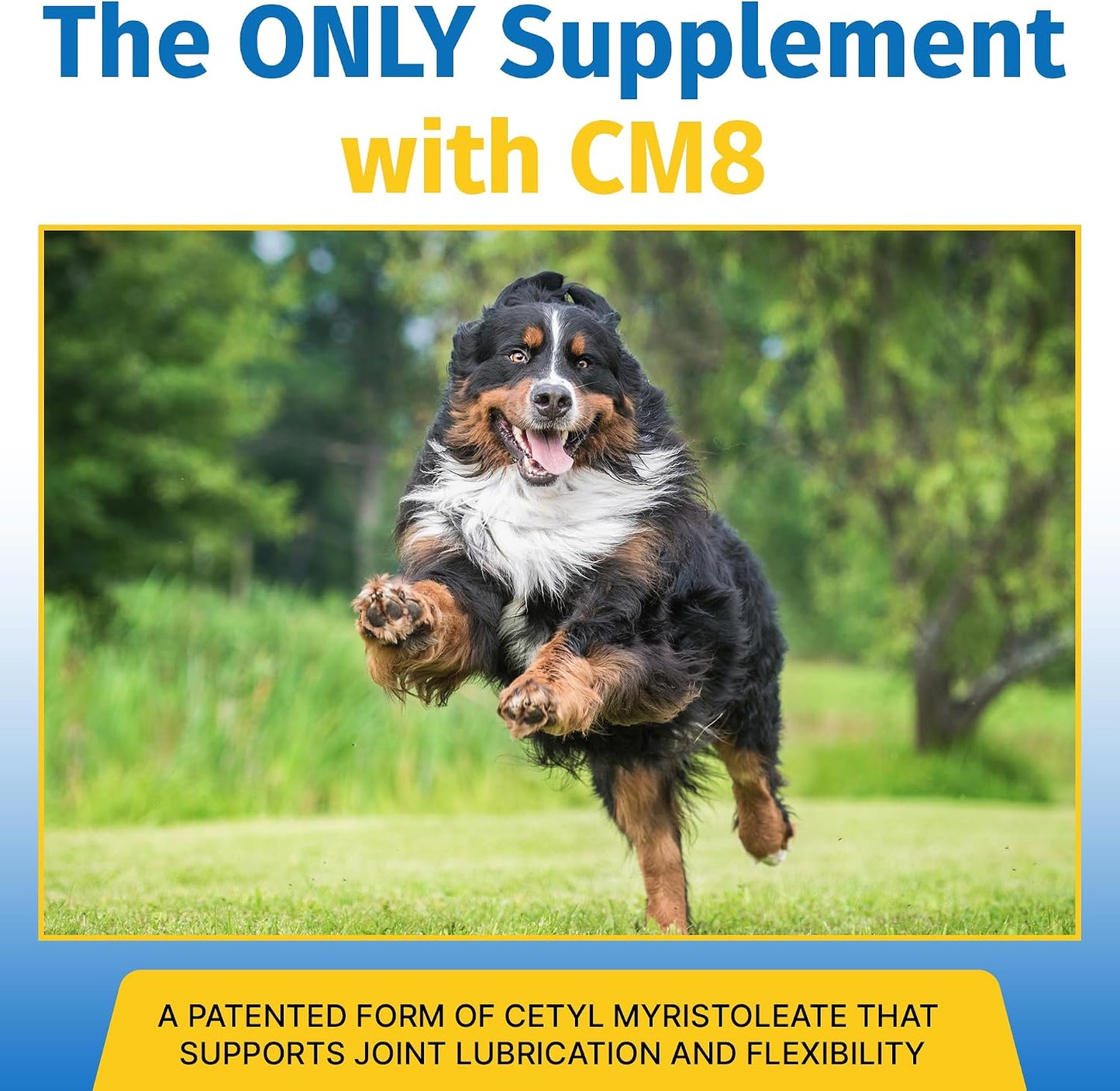 Hip & Joint Supplement for Dogs & Cats with Cetyl Myristoleate, Glucosamine, Collagen, MSM - Advanced Joint Support for Mobility, Senior Pets, Small & Large Breeds - 180 Tablets (Pork Liver Flavour) - görsel 3