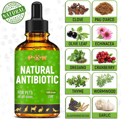 Golden Paw Natural Antibiotics for Dogs and Cats – Organic Liquid Immune Support Drops (60 ml)