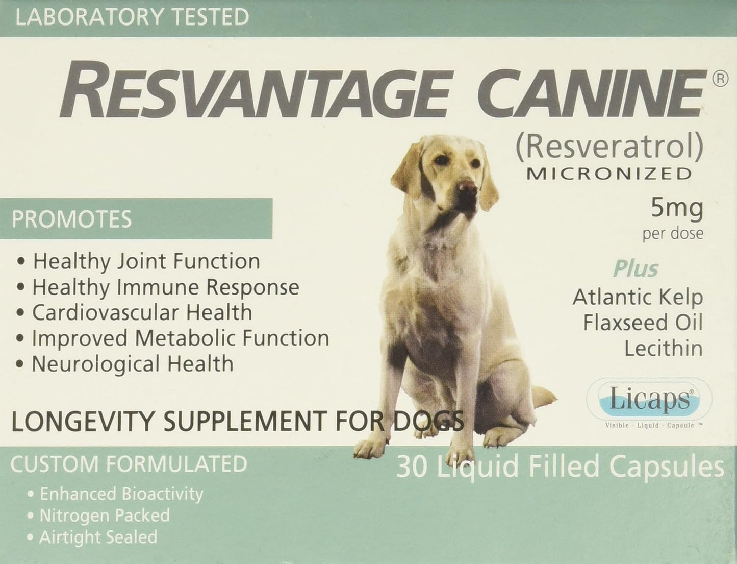 Resvantage Canine - görsel 1