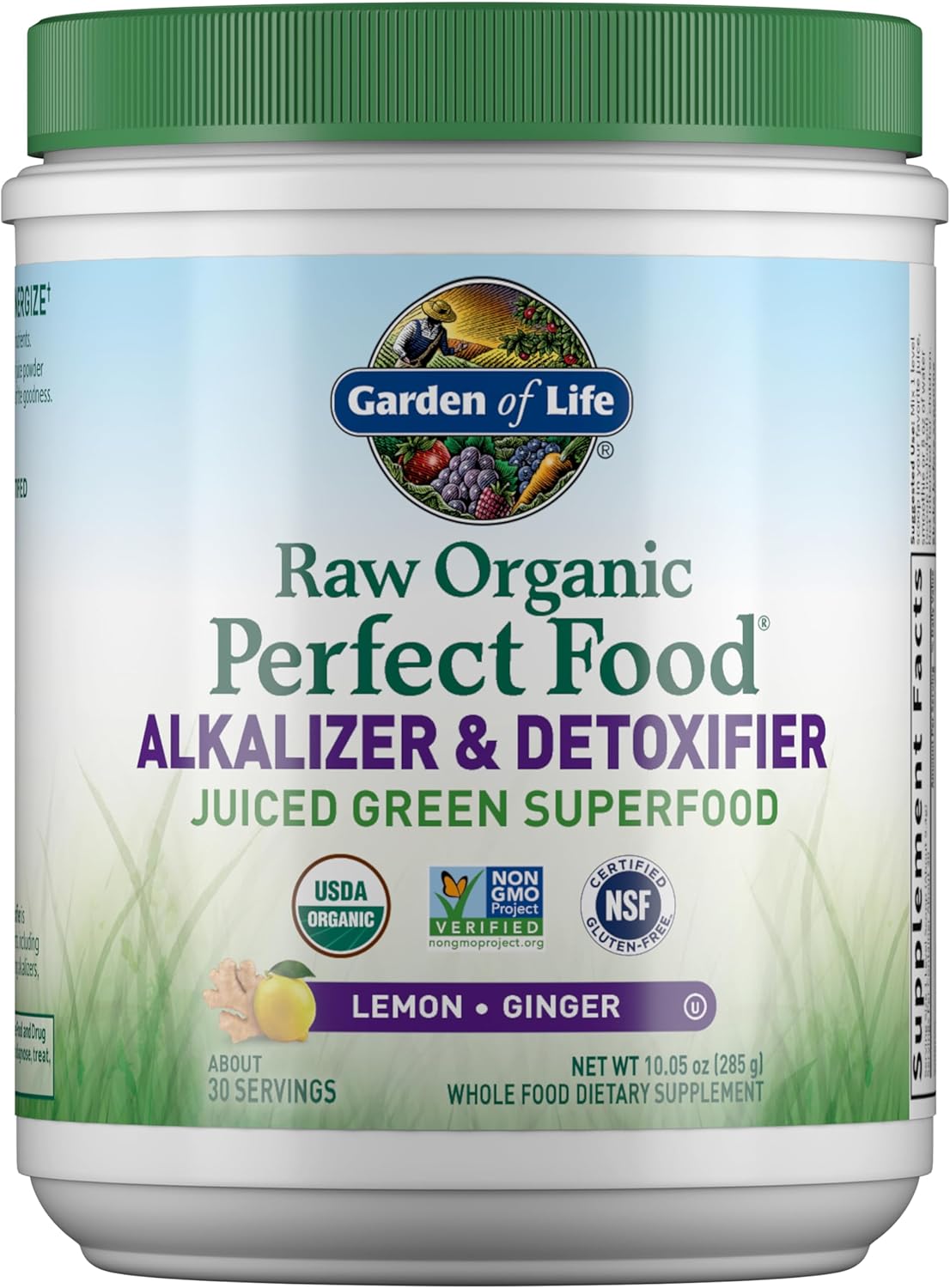 Garden of Life Raw Organic Perfect Food Alkalizer and Detoxifier, Lemon Ginger Flavoured Superfood Powder Supplement, 30 Servings - görsel 1