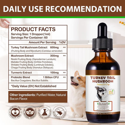 Turkey Tail Mushroom for Dogs – Fast-Absorbing Liquid Drops for Immune, Digestive and Joint Support with Turmeric & Probiotic (60ml)