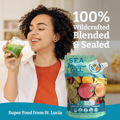 Yemayá Organic Sea Moss Gel - Wildcrafted, Raw, with Real Fruit - 473 ml