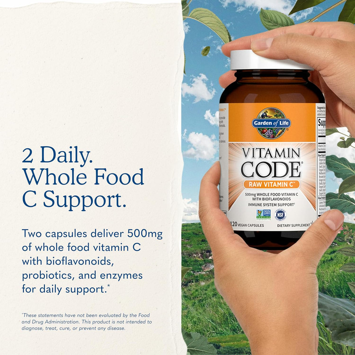 Garden of Life Vitamin Code Raw Vitamin C - 120 Capsules, 500mg Whole Food Vitamin C Capsules + Fruit & Vegetable Blend & Probiotics, Supplements for Adults, Vegan, Gluten-free - görsel 7