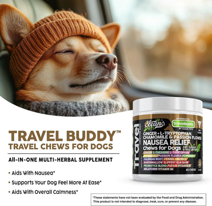 Clean Pets Travel Chews – Nausea Relief for Dogs with Ginger & Melatonin