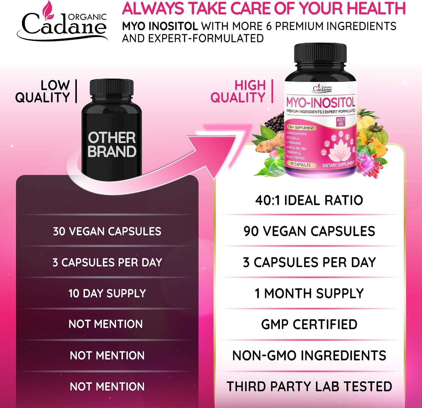 Organic Cadane Myo Inositol & Ashwagandha Capsules with Rhodiola, L-Theanine, Ginkgo Biloba, and More | Supports Body Balance & Digestive Health | Vegan, Non-GMO - 90 Capsules - görsel 5