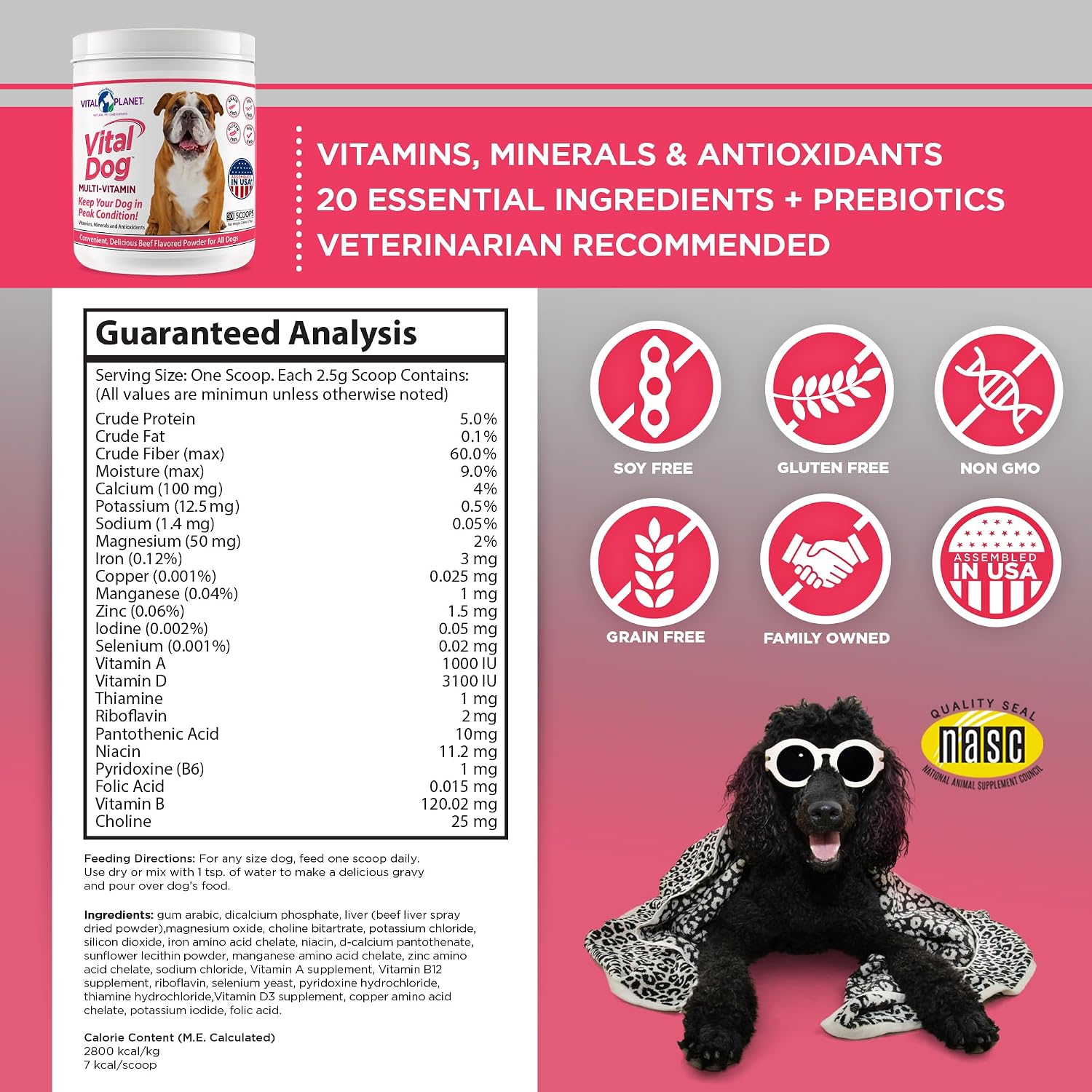 Vital Dog Multivitamin Powder – Beef Flavoured, 30 Servings - görsel 2