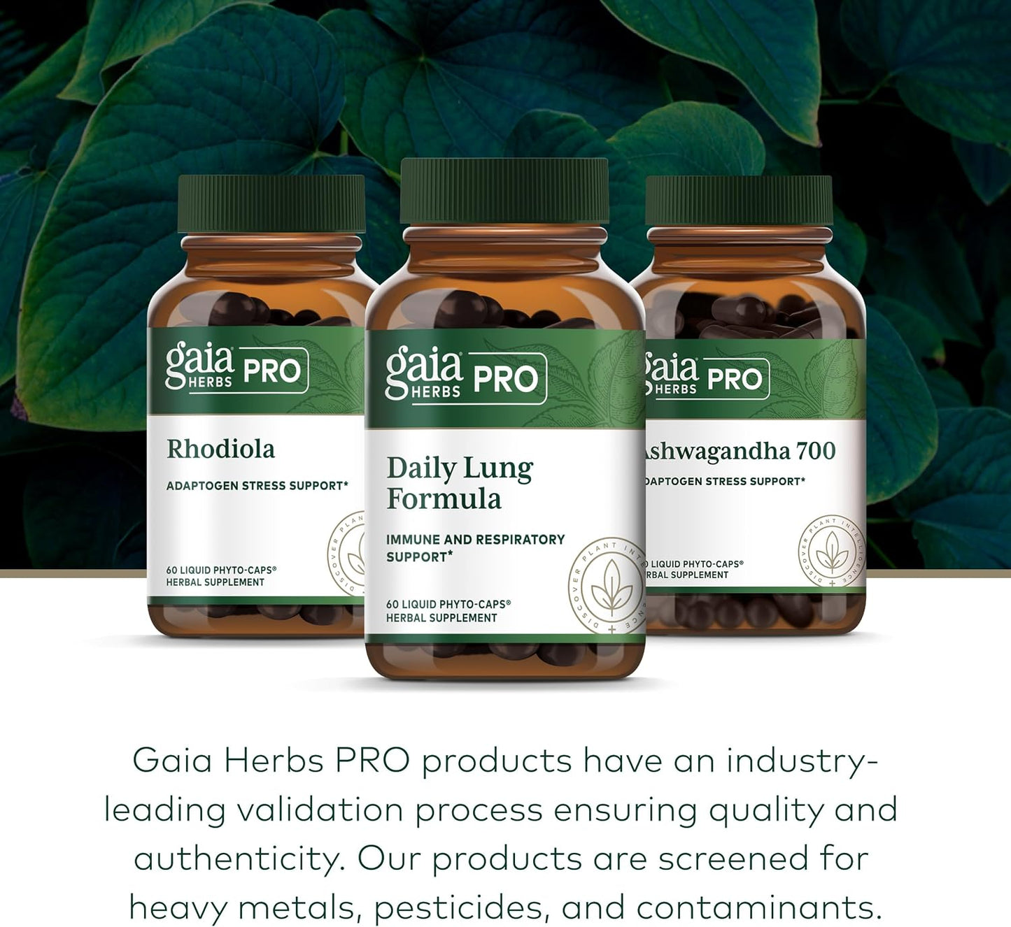 GAIA HERBS PRO Daily Lung Formula - Respiratory Health & Immune Support with Mullein & Marshmallow Root - 60 Liquid Phyto-Caps - görsel 6