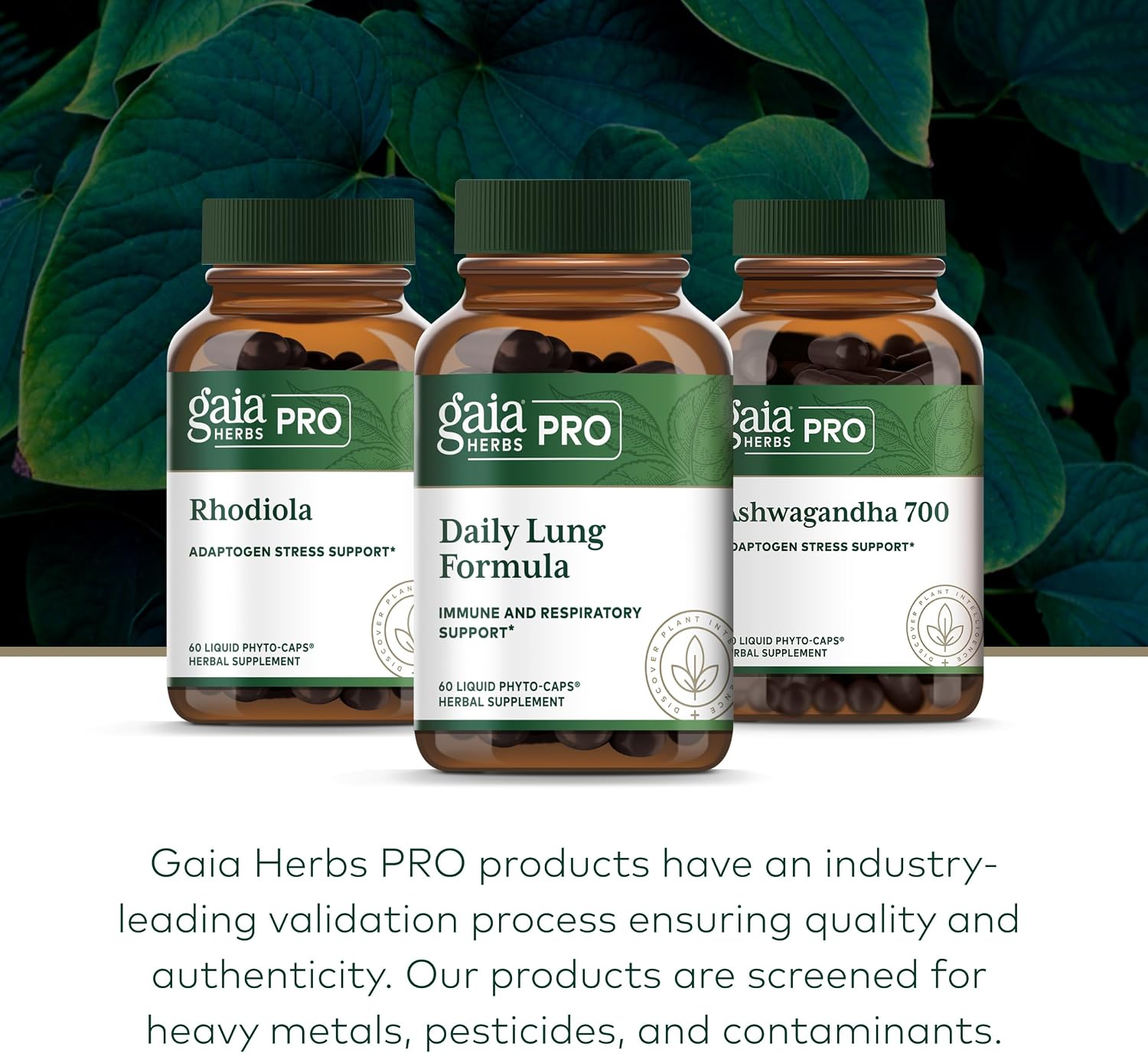 GAIA HERBS PRO Daily Lung Formula - Respiratory Health & Immune Support with Mullein & Marshmallow Root - 60 Liquid Phyto-Caps - görsel 6