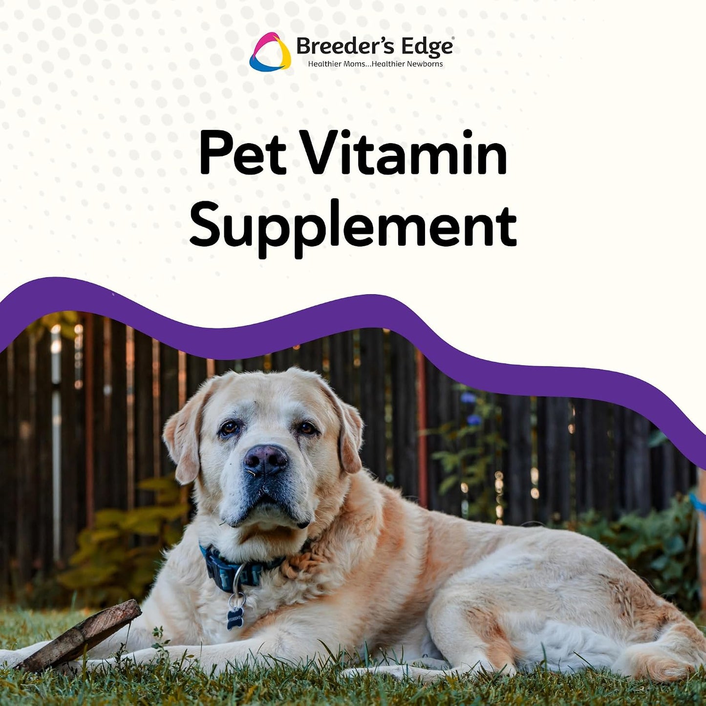 Breeder's Edge B Strong Liquid – Vitamin B Supplement for Dogs and Cats (32 oz) - görsel 4