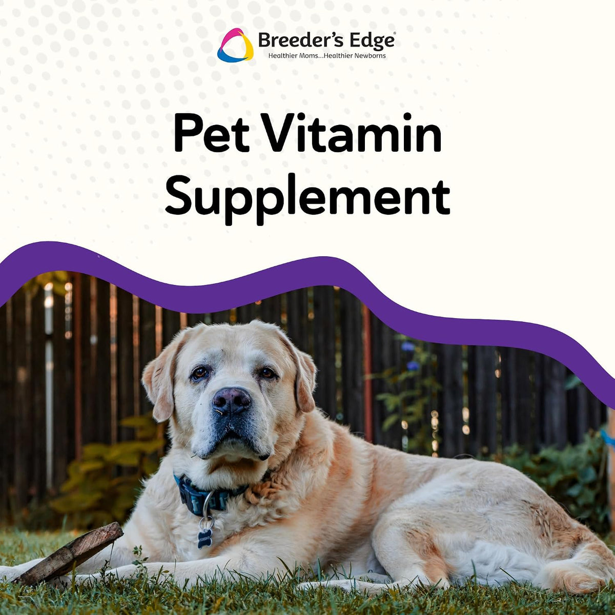 Breeder's Edge B Strong Liquid – Vitamin B Supplement for Dogs and Cats (32 oz) - görsel 4
