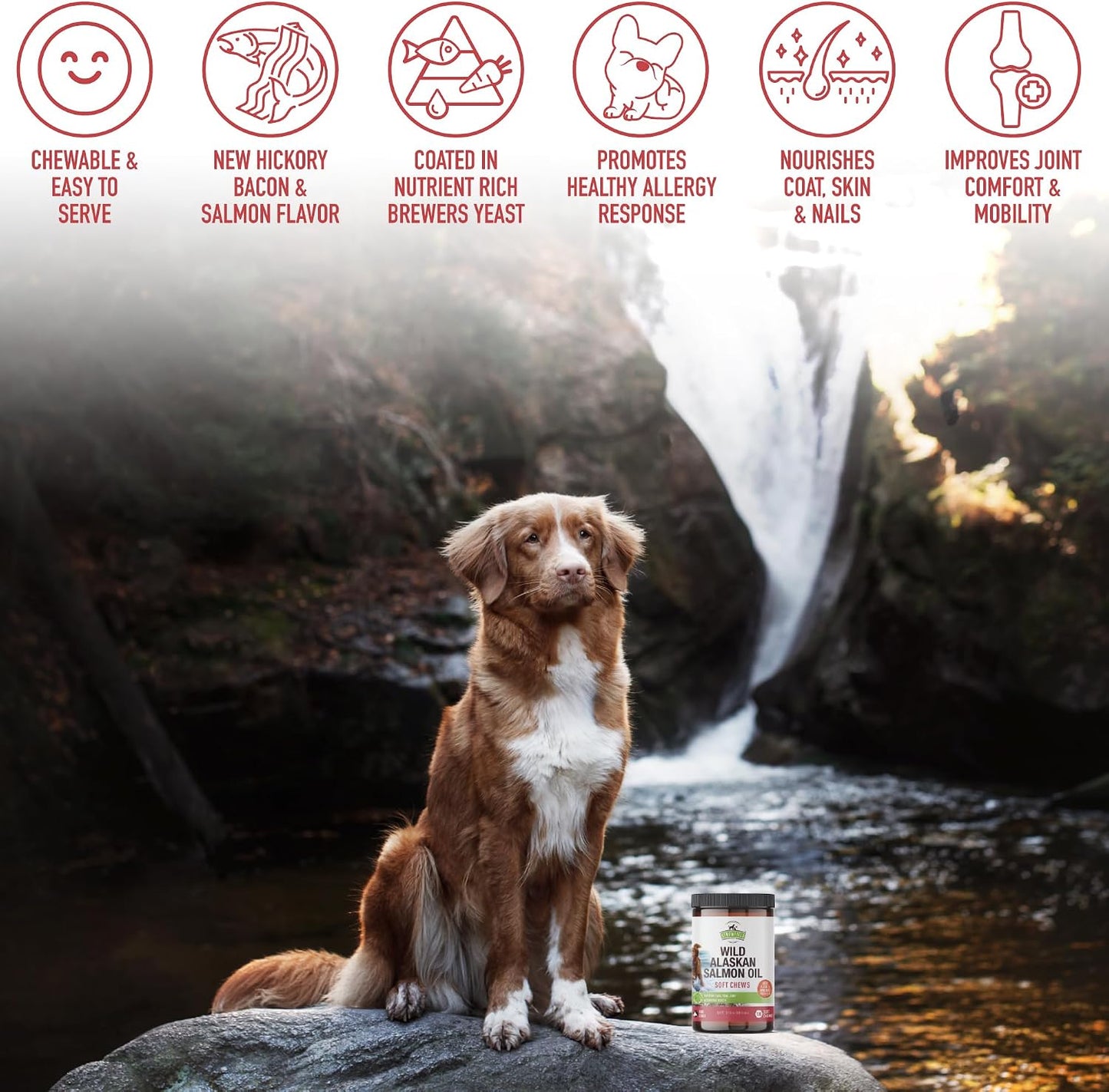 Strawfield Pets Salmon Dog Chews Omega-3 Fish Oil Chews with Wild Alaskan Salmon Oil Skin & Coat + Seasonal Allergy Support Hip & Joint Dog Supplement + EPA & DHA Made in USA - görsel 8