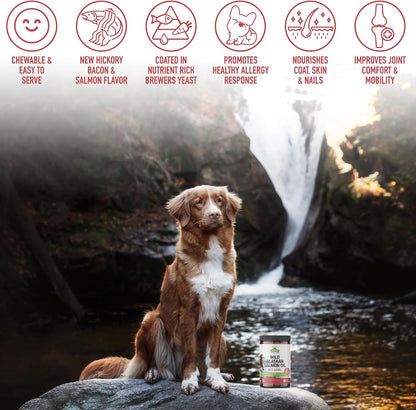 Strawfield Pets Salmon Dog Chews Omega-3 Fish Oil Chews with Wild Alaskan Salmon Oil Skin & Coat + Seasonal Allergy Support Hip & Joint Dog Supplement + EPA & DHA Made in USA