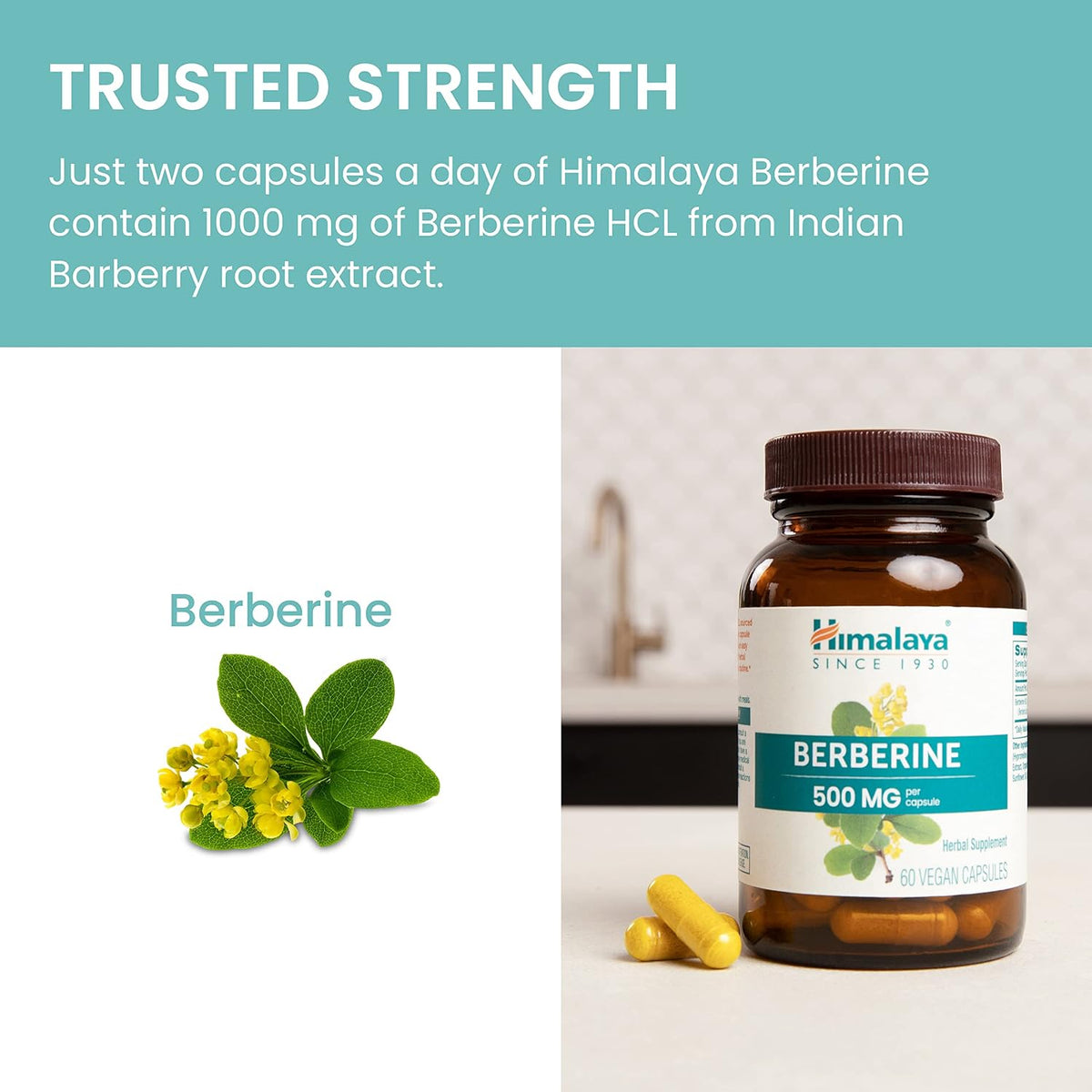 Himalaya Berberine Supplement, 1000 mg per Serving, 60 Vegetarian Capsules - görsel 6