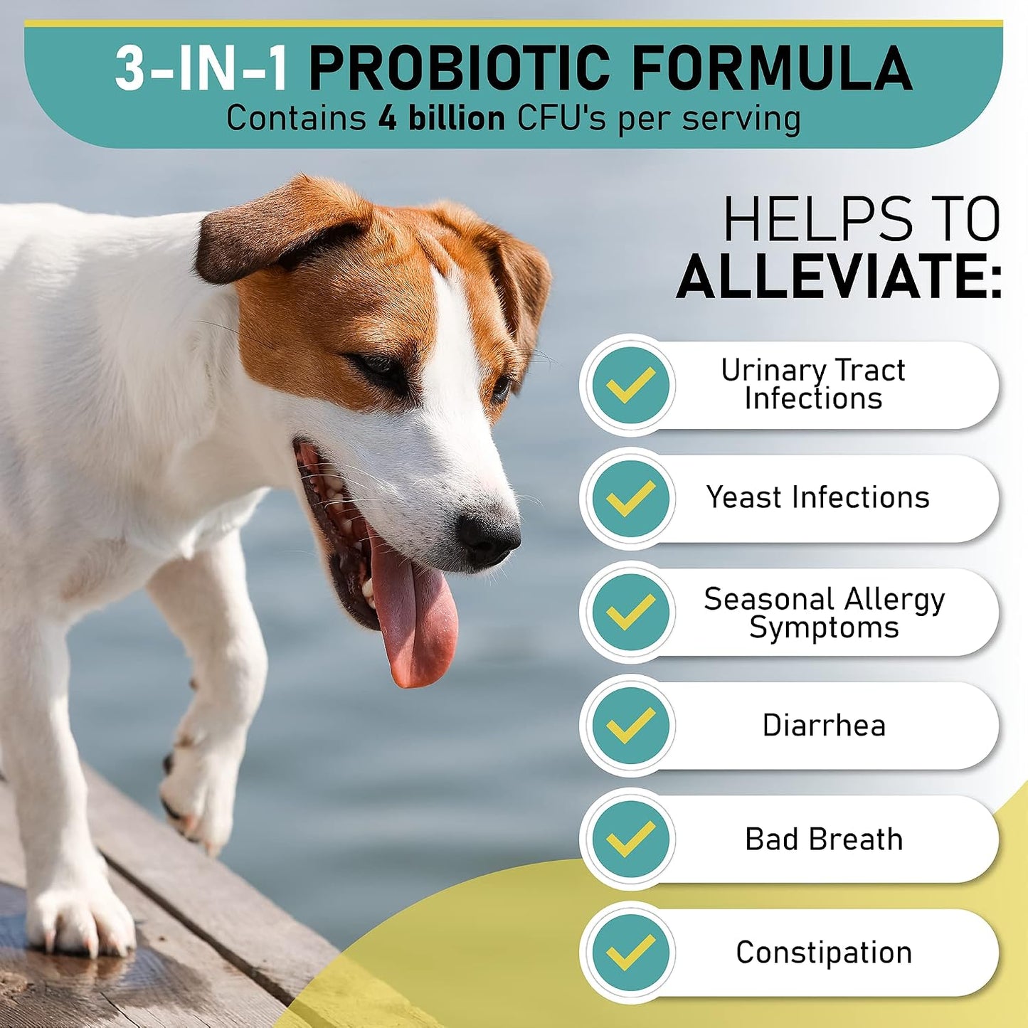 Gracie To The Rescue Probiotic Chews for Dogs - 120 Soft Chews - görsel 3