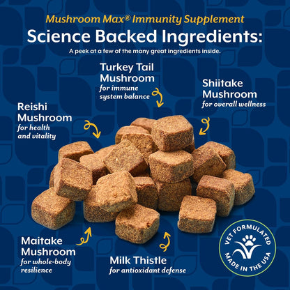 NaturVet Mushroom Max Advanced Immune Support for Dogs