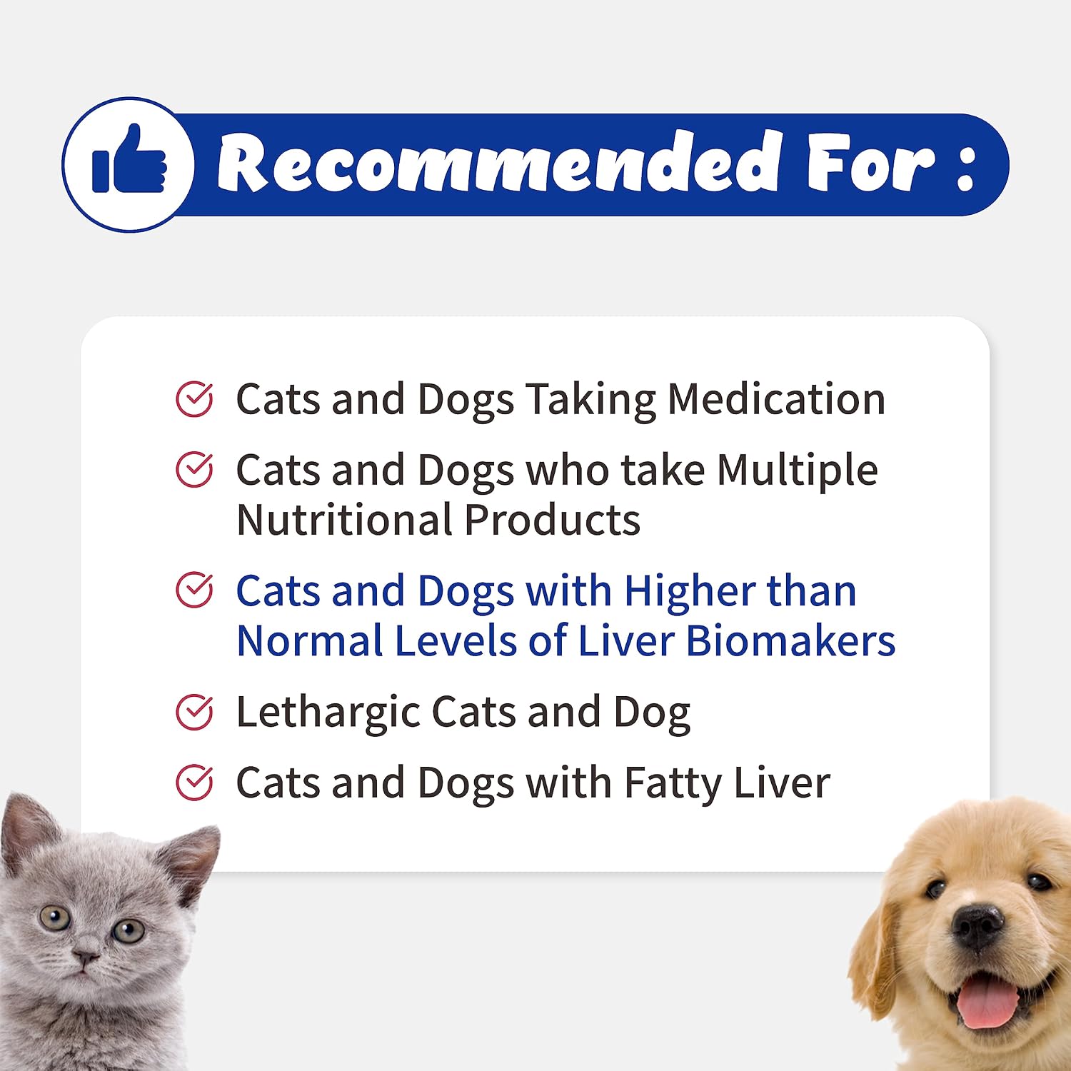 Branvine Liver Alive Metabolism System Health for Dogs and Cats - Liver Support with SILIPHOS®, TUDCA, SAMe - Vegan Bacon Flavour (60ml) - görsel 3