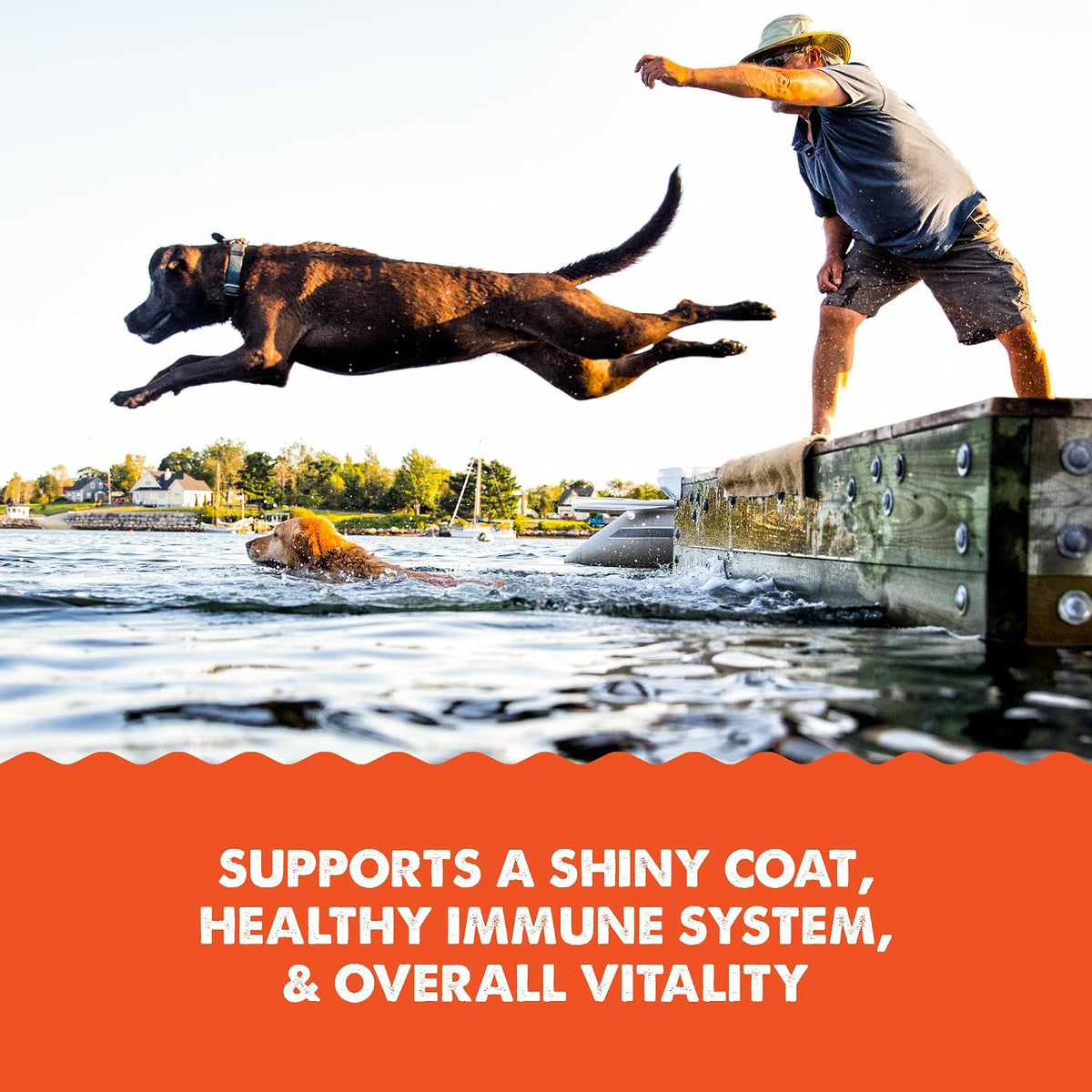Grizzly Salmon Plus Omega 3-6-9 Liquid Food Supplement for Dogs and Cats, 118 ml Bottle - görsel 4