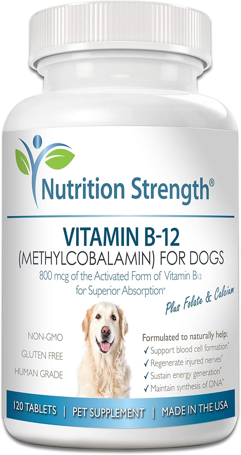 Nutrition Strength Vitamin B12 for Dogs Plus Folate & Calcium – 120 Chewable Tablets - görsel 1