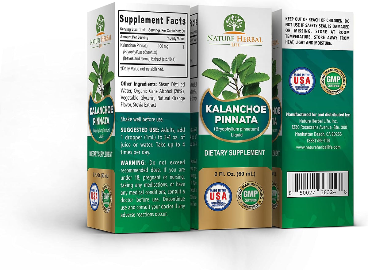 Kalanchoe Pinnata (Bryophyllum Pinnatum) Glycerite, Dried Leaf and Stem Liquid Extract. Herbal Supplement, Antioxidants. 1 Bottle, 2 fl oz (60 ml) - görsel 4