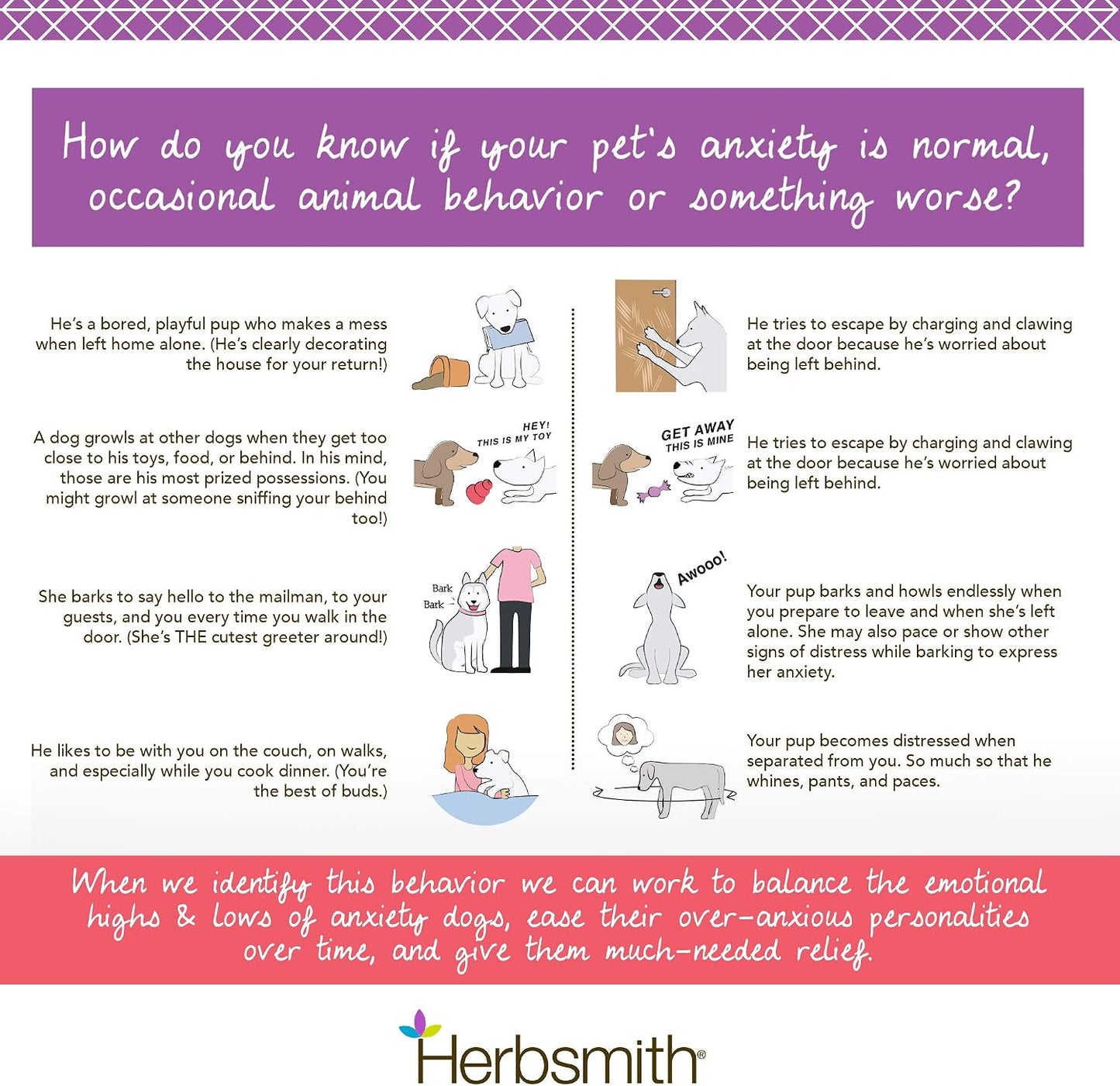 Herbsmith Calm Shen – Herbal Blend for Dogs & Cats – Calming Supplement – 500g Powder - görsel 5