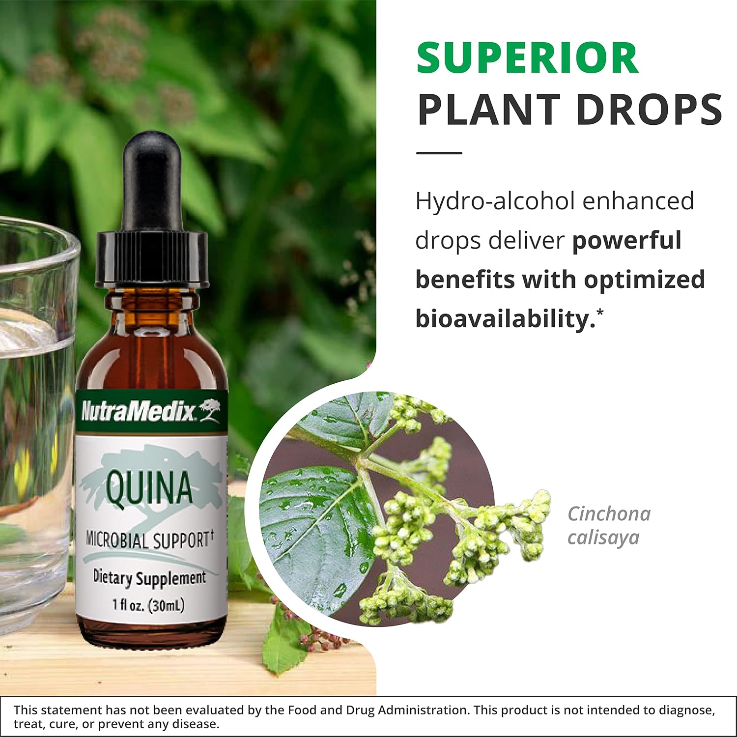 NutraMedix Quina Herbal Extract - Immune Support Liquid Drops - 30 ml - görsel 5