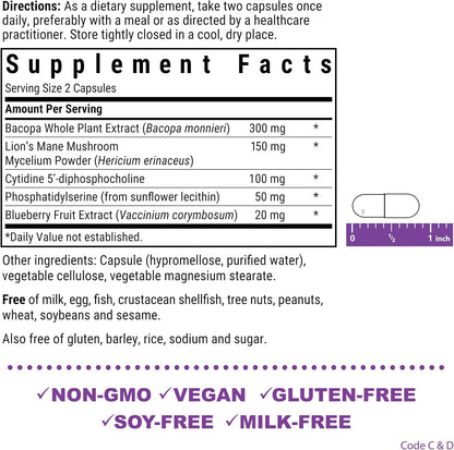 Bluebonnet Nutrition BrainPower – Whole Food-Based Nootropic Blend for Brain Health – Non-GMO, Vegan – Free of Gluten, Dairy, Soya & Stimulants – 30 Vegetable Capsules