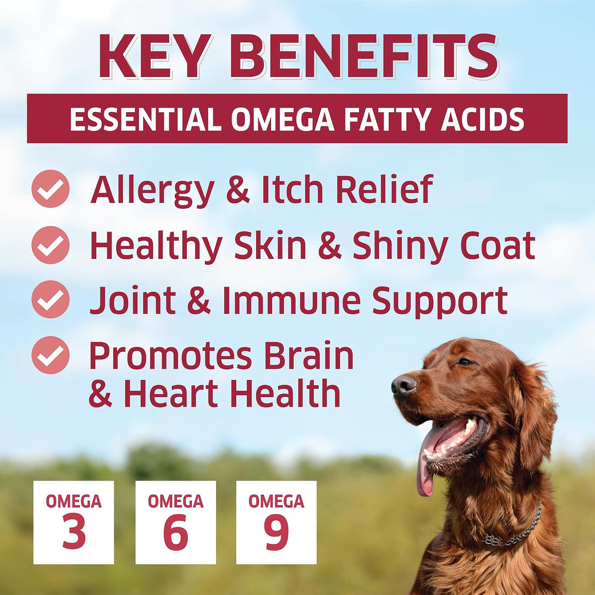 Wild Alaskan Salmon Oil Soft Chews for Dogs - Omega-3 Supplement (120 Chews) - görsel 2
