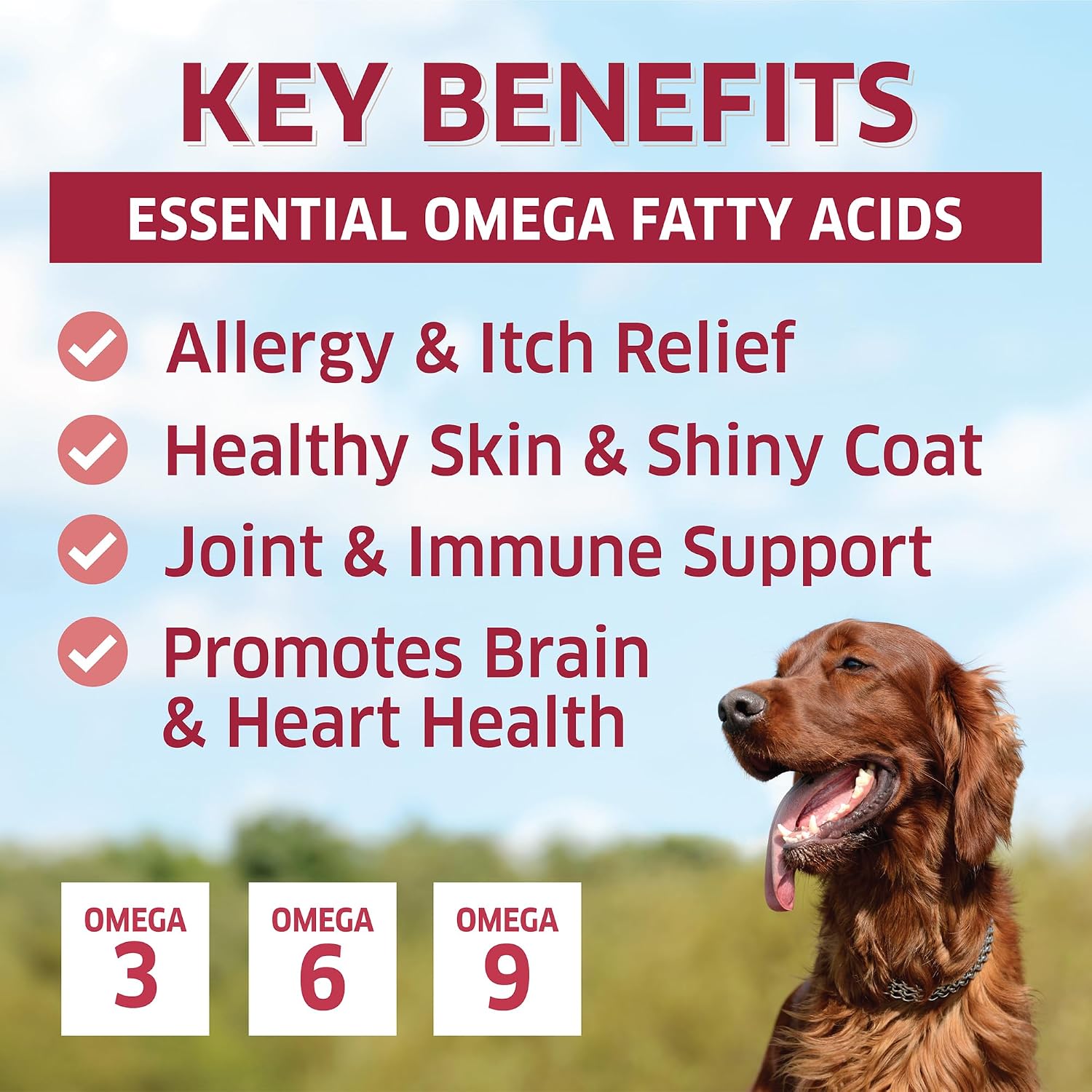 Wild Alaskan Salmon Oil Soft Chews for Dogs - Omega-3 Supplement (120 Chews) - görsel 2