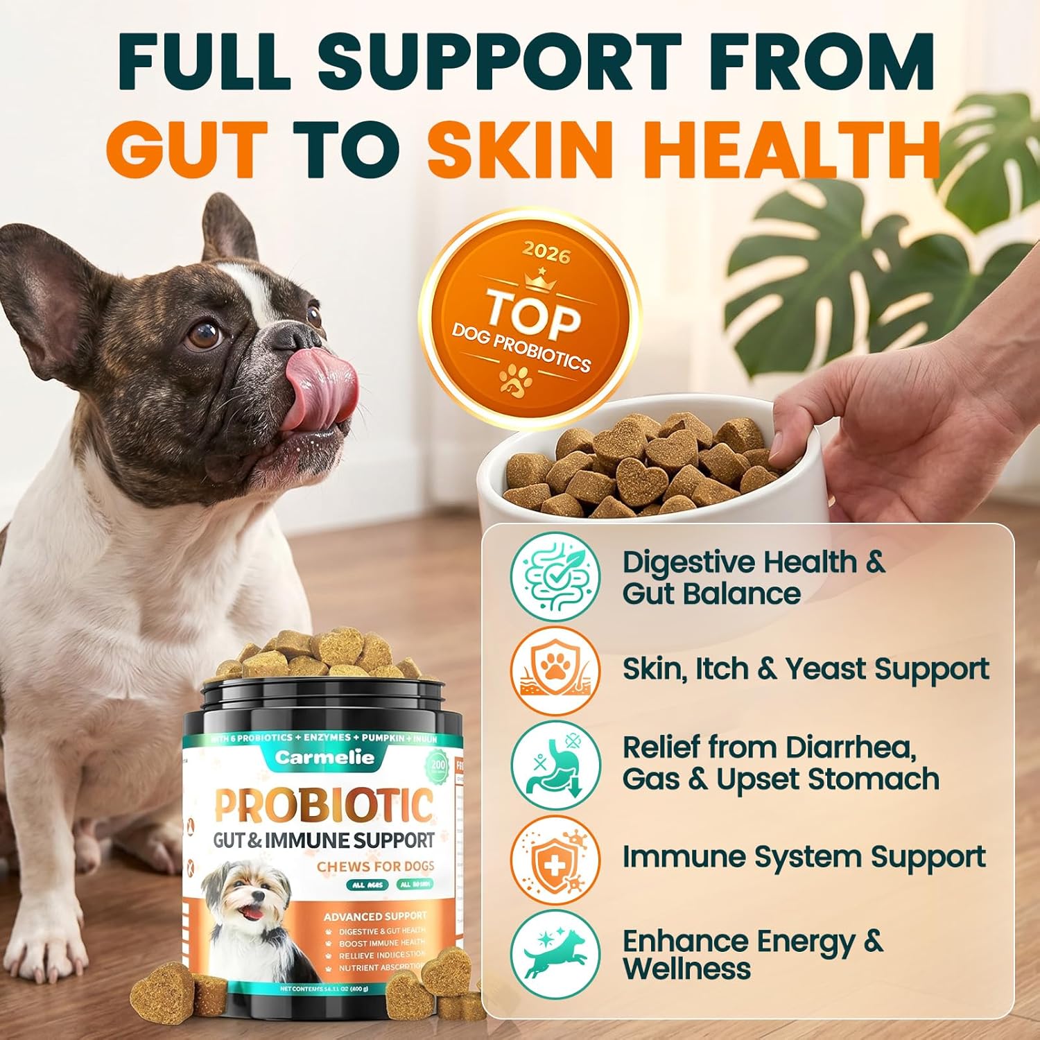 Probiotics for Dogs, Chicken Flavour (200 Chews) – Supports Digestive Health, Skin & Immunity - görsel 2