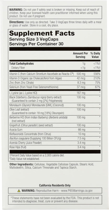 SOLARAY ImmuFight™ Immune Response Support, 90 VegCaps