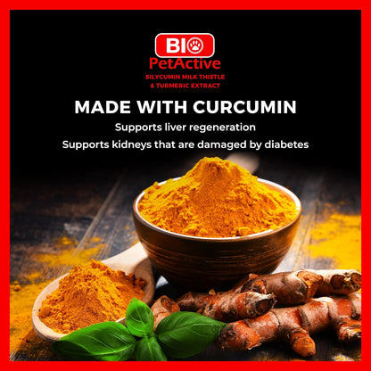 Bio PetActive Silycumin Milk Thistle & Turmeric Supplement for Dogs - Advanced Liver & Kidney Support with 80% Silymarin and Curcumin - Detoxification & Antioxidant Formula - 45 Chewable Tablets